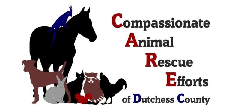 Compassionate Animal Rescue Efforts of Dutchess County - CARE of DC